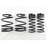 RS-R 13+ Subaru Impreza (GP7) Down Sus Springs